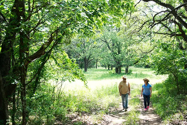 An older couple, The Thompsons, are walking on a trail through the woods.